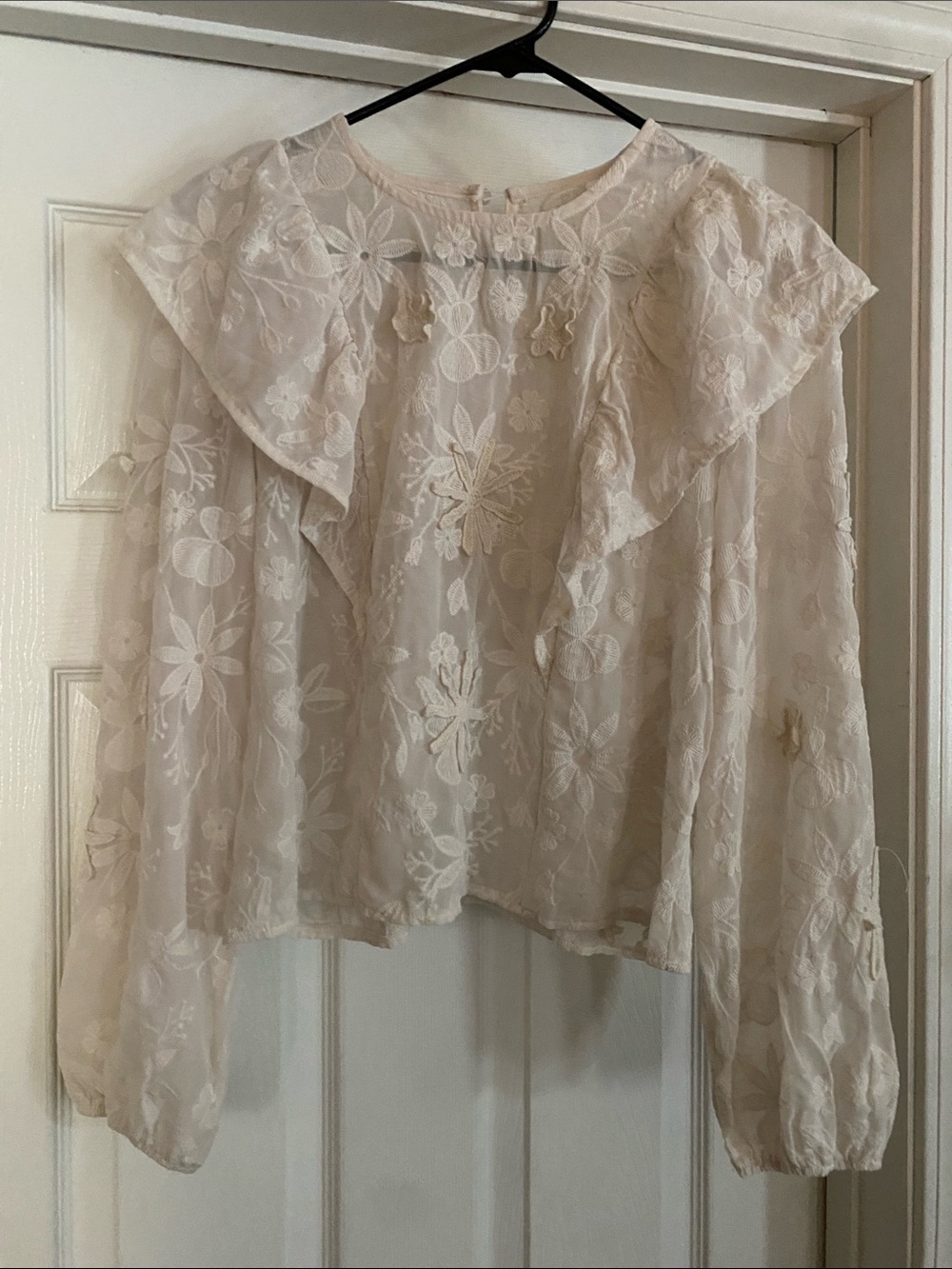 Sheer Floral Embroidered Ruffle Blouse